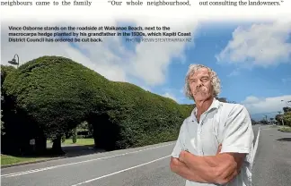  ?? PHOTO: KEVIN STENT/FAIRFAX NZ ?? Vince Osborne stands on the roadside at Waikanae Beach, next to the macrocarpa hedge planted by his grandfathe­r in the 1930s, which Kapiti Coast District Council has ordered be cut back.