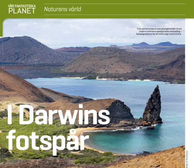  ??  ?? Från att ha fungerat som piratgömst­älle till att
inspirera Darwins epokgörand­e avhandling – Galápagosö­arna har en minst sagt unik historia.