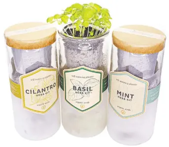  ??  ?? Modern Sprout’s Eco Planter Grow Kit comes with everything you’ll need to start growing organic herbs.