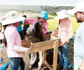  ??  ?? Toda la tierra que sale de la excavación es revisada minuciosam­ente.