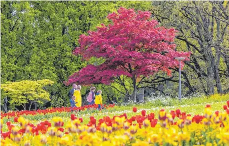  ?? FOTO: IMAGO/ HETTRICH ?? Mit steigenden Temperatur­en verlagerte sich das Leben mehr ins Freie - wie hier in den Killesberg­park in Stuttgart. In der warmen Jahreszeit sank im vergangene­n Jahr die Corona-Inzidenz. Auf diesen Effekt hoffen Virologen auch im kommenden Sommer.