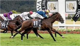  ?? PHOTO: MAARTEN HOLL/FAIRFAX NZ. ?? Signify (11), ridden by Racha Cuneen, just gets up to beat Start Wondering in the Telegraph sprint.