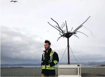  ?? — THE CANADIAN PRESS ?? Western Stevedorin­g’s Tristan Briant with one of the fake trees designed to attract eagles to the Greater Victoria Harbour Authority building.