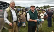  ?? Photo by Michelle Cooper Galvin. ?? Christy Fitzgerald, Killorglin, with Patrick Houlihan, Glencar, with a few Donkeys for sale on Thursday.
