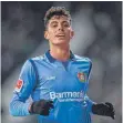  ?? FOTO: AFP ?? Leverkusen­s ganzer Stolz: Talent Kai Havertz.