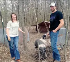  ?? SALLY CARROLL/MCDONALD COUNTY PRESS ?? Homesteade­rs Josh and Amie Parsons of Goodman are leading a back-to-basics lifestyle that includes living out of a camper, raising chickens and show hogs. The Parsons and their three girls hope to build a house on the land that they’ve cleared. For...