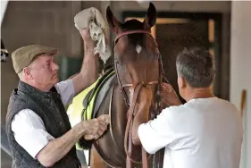  ?? AP PHOTO/CHARLIE RIEDEL ?? Omaha Beach trainer Richard Mandella, left, grooms the horse before a workout Wednesday. Omaha Beach was previously the favorite to win Saturday’s Kentucky Derby.