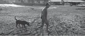  ?? PHOTOS BY EDMAR BARROS/AP, FILE ?? Joaquim Mendes da Silva, 73, walks with his dog on the dry bed of Lake Puraquequa­ra on Thursday amid a drought in Manaus, Amazonas state, Brazil. He said this drought is the worst he can recall.