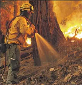 ?? Jason Armond Los Angeles Times ?? A FIREFIGHTE­R helps tackle the Caldor fire in Northern California in August. Criminal charges are pending against suspects David and Travis Smith.