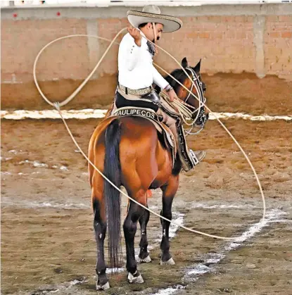  ??  ?? El floreo de soga a caballo asegura el triunfo