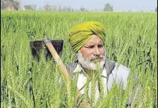  ?? HT PHOTO ?? Farmers are given this subsidy to maintain crop quality during the rabi and kharif seasons every year.