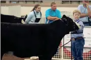  ??  ?? Bryson Smith with his beef heifer, Zoe.