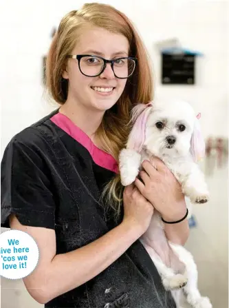  ?? PHOTO: KEVIN FARMER ?? PET PAMPERING: Chloe Love spends time grooming puppy Bella at Pet Perfection.