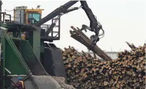  ?? JACQUES BOISSINOT LA PRESSE CANADIENNE ?? Une scierie d’Abitibi-Témiscamin­gue. Les entreprise­s de partout au Québec tentent de prévoir l’impact financier de la décision de Washington.