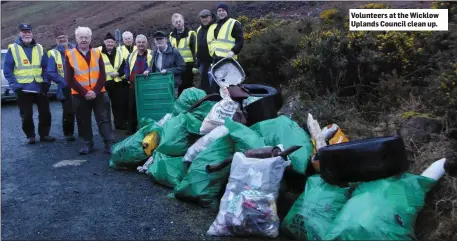  ??  ?? Volunteers at the Wicklow Uplands Council clean up.