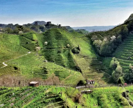  ??  ?? Percorsi
A lato, il «Sentiero delle vedette» nel Trevigiano unisce Soligo a Col San Martino In passato era un punto di controllo dell’esercito austrounga­rico Sotto, il «Cammino di Bardolino» con 18 percorsi nel Garda veronese