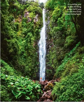  ??  ?? It could be you at this thrilling waterfall if you visit the Gold Coast hinterland.