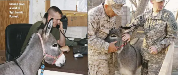  ??  ?? Smoke pays a visit to Sgt. Lonnie Forrest. After Smoke passed his physical, he was dewormed and vaccinated.