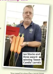  ??  ?? Ian Stocks and three awardwinni­ng ‘Sweet Candle’ carrots
