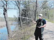  ?? RBG PHOTOS ?? Tracking Seneca, the last female Blanding’s turtle in Cootes Paradise.