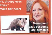  ??  ?? Drummond says possums
are demonic