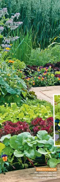  ?? ?? PRETTY GOOD Mix colourful veg with flowers to make this edible display attractive