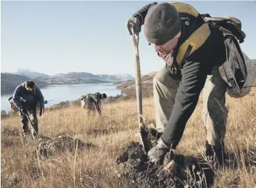  ?? PICTURE: JOHN MCFARLANE ?? 0 10,860 hectares were planted, the second highest level since 2001