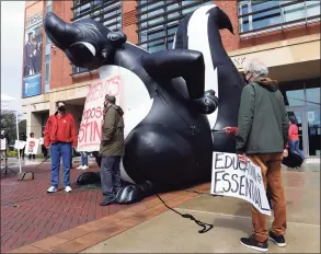  ?? Arnold Gold / Hearst Connecticu­t Media ?? Members of the Connecticu­t State University American Associatio­n of University Profession­als protest with a giant inflatable skunk, Skunkzilla, for better contract terms and conditions during negotiatio­ns with the Board of Regents outside Buley Library at Southern Connecticu­t State University in New Haven on Wednesday.