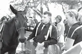  ?? The College Station Eagle via AP ?? Devin DeLuca, left, a member of Parsons Mounted Cavalry, talks with visitors who are curious about the cavalry’s horses and mules on Oct. 7 at Spence Park in College Station, Texas.