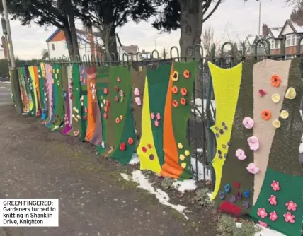  ??  ?? GREEN FINGERED: Gardeners turned to knitting in Shanklin Drive, Knighton