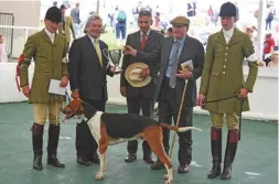  ??  ?? Lord Daresbury and Richard Tyacke receive the overall doghound trophy from Martin Letts, for the Wynnstay’s home-bred Chairman 17