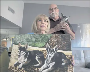  ?? KARL MONDON — STAFF PHOTOGRAPH­ER ?? Darlene and Nelson Frick hold their remaining dog Bonnie, July 8 after her brother Clyde was killed by a coyote last year at the Villages Golf and Country Club in San Jose.