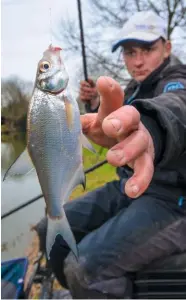  ??  ?? A few small skimmers prompted Andrew to search for bigger fish over his groundbait line