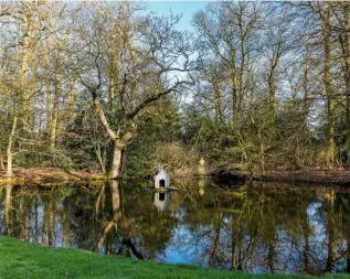  ??  ?? The duck shelter resembles a tiny temple floating on the water. It creates a striking feature when bathed in shafts of winter sunlight on the mirrored woodland pond.