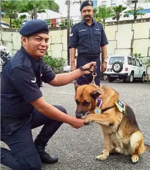  ??  ?? Top dog: Xiao Hu giving a pawshake to his handler L/Kpl Welster after the state police monthly assembly in Bukit Beruang, Melaka.