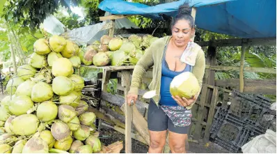  ?? ?? Coconut vendor Maxine Henry chopping a jelly coconut at her stall by the Linstead bypass in St Catherine. Coconut is the latest crop to be severely impacted by the ongoing drought affecting the agricultur­al sector.