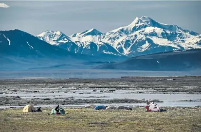  ?? Christophe­r Miller, © The New York Times Co. ?? Hikers take down their tents as caribou cross the Hulahula River in front of Mount Chamberlin in June in the Arctic National Wildlife Refuge in Alaska. The White House is working to push through an expansion of Arctic drilling before the president leaves office.