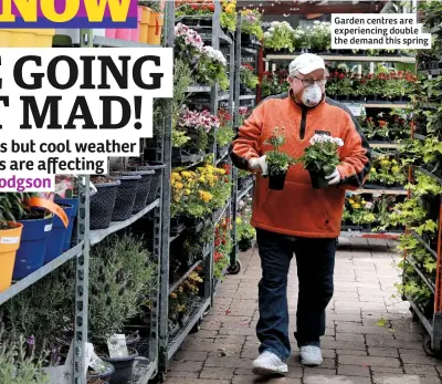  ??  ?? Garden centres are experienci­ng double the demand this spring