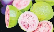  ?? Picture: LANCE SEETO ?? Miraculous guava has full of multi vitamins and minerals.