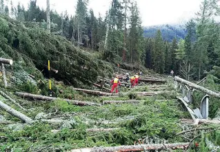  ??  ?? La ricostruzi­one Con l’aiuto di Cai e Forestali i Comuni bellunesi si rimettono in piedi