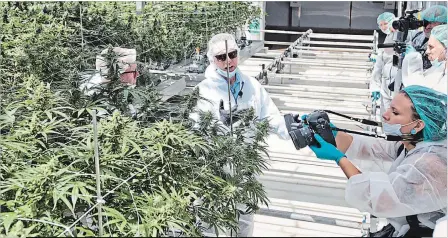  ?? BOB TYMCZYSZYN THE ST. CATHARINES STANDARD ?? CannTrust Holdings Inc opened its doors for a tour and grand opening of its medical cannabis facility in Pelham Tuesday.