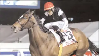  ?? Picture: Nkosi Hlophe ?? SEARCH PARTY’S victory in the Gr2 Post Merchants at Greyville on Friday night took Brett Crawford’s Champions Season tally to seven wins.