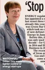  ??  ?? WATCHFUL: Gillian Guy wants tighter control of energy start-ups