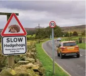  ??  ?? BELOW Thousands of hedgehogs die on the UK roads every year