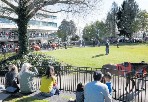 Waikato racing faces huge change - PressReader