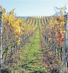  ?? Picture: Getty. ?? Organic farming is growing across the EU.