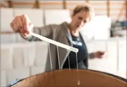  ?? THE CANADIAN PRESS/MICHAEL BELL ?? Honey drips from a stick held by Vickie Derksen at Prairie Bee Meadery near Caron, Sask., on Oct. 22. The meadery produces its own honey, from bees that pollinate only select crop varieties.