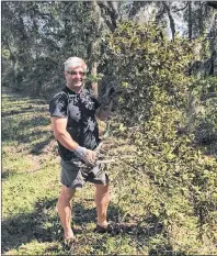  ?? SUBMITTED BY KEN JARDINE ?? Little Bras d’Or resident Ken Jardine busied himself Tuesday morning by clearing out some tree branches on his Florida property that were downed by heavy wind and rain.