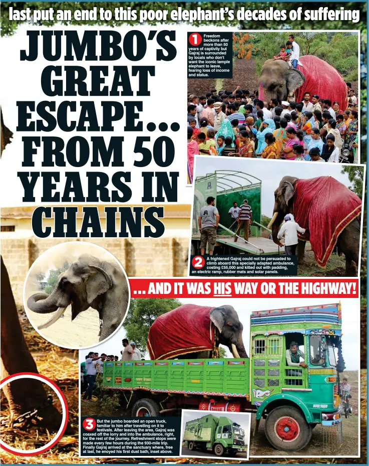  ??  ?? But the jumbo boarded an open truck, familiar to him after travelling on it to festivals. After leaving the area, Gajraj was coaxed off the lorry and into the ambulance, right, for the rest of the journey. Refreshmen­t stops were made every few hours...