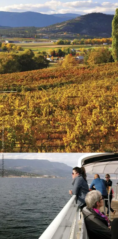  ??  ?? Clockwise from top left: It’s in the spring when there are fewer crowds – on and off the water – affording a relaxing time in the region. The golden vineyards during the fall. Fall is a special time to visit with many activities to still enjoy.